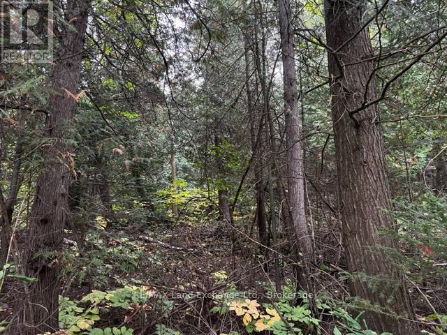 4 Shore Road, Saugeen Shores, Ontario  N0H 2L0 - Photo 5 - X12926600