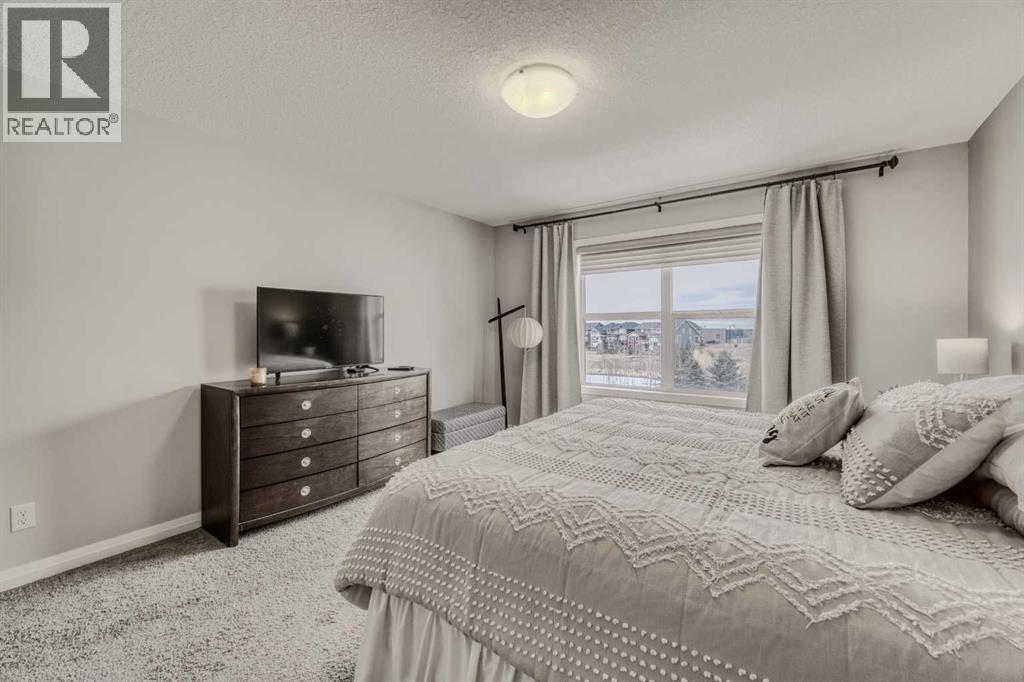 16 Auburn Springs Park SE, Calgary, Alberta  T3M 1Y4 - Photo 22 - A2296015