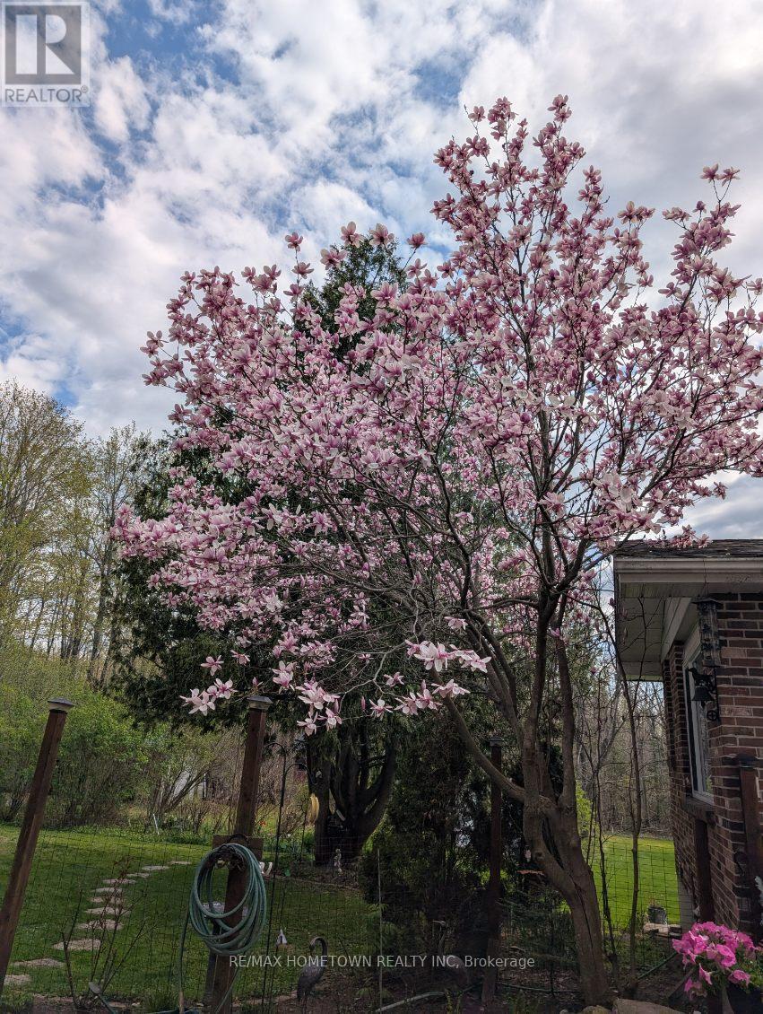 473 Amberwood Road, Beckwith, Ontario  K0A 1B0 - Photo 31 - X12887942