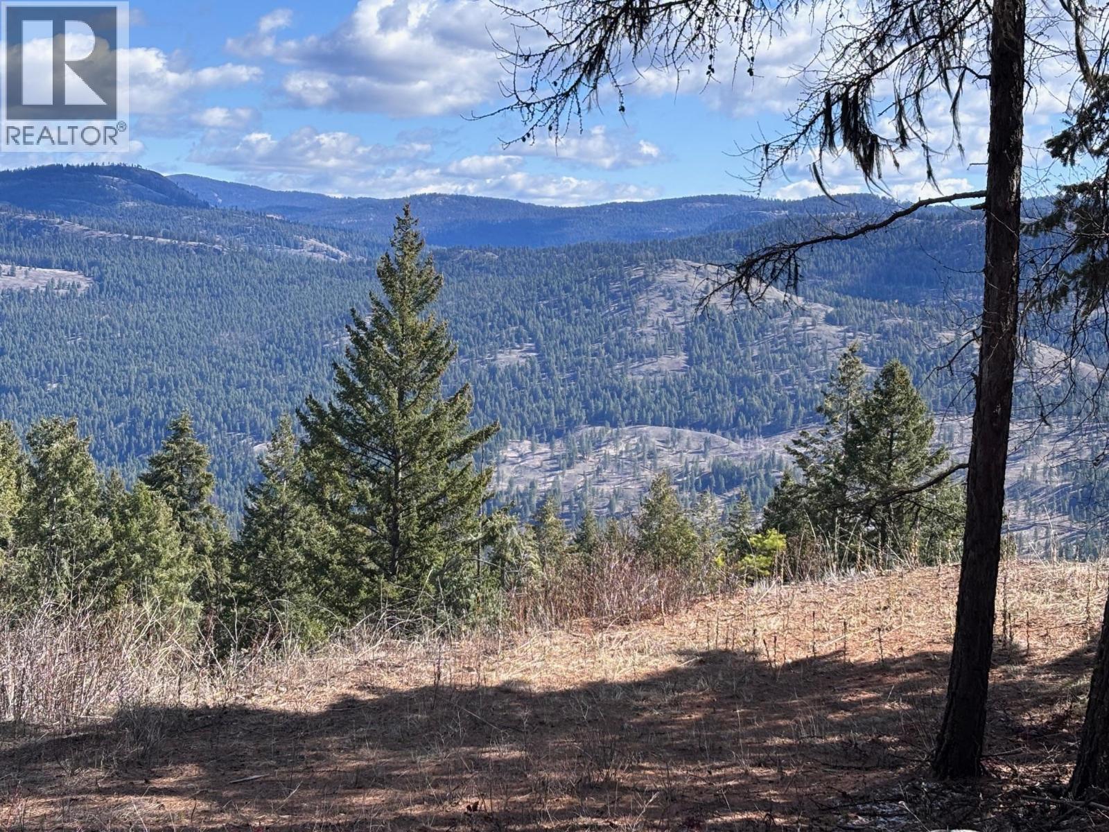 Hulme Creek Road Lot# 2, Rock Creek, British Columbia  V0H 1Y0 - Photo 6 - 10380797