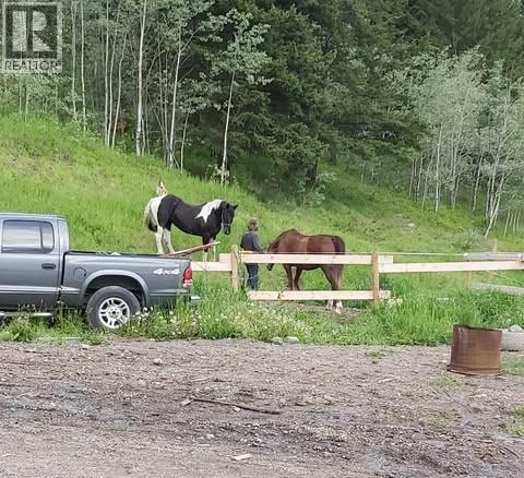 2837 Pinantan Pritchard Road, Kamloops, British Columbia  V0E 3E1 - Photo 14 - 10380363