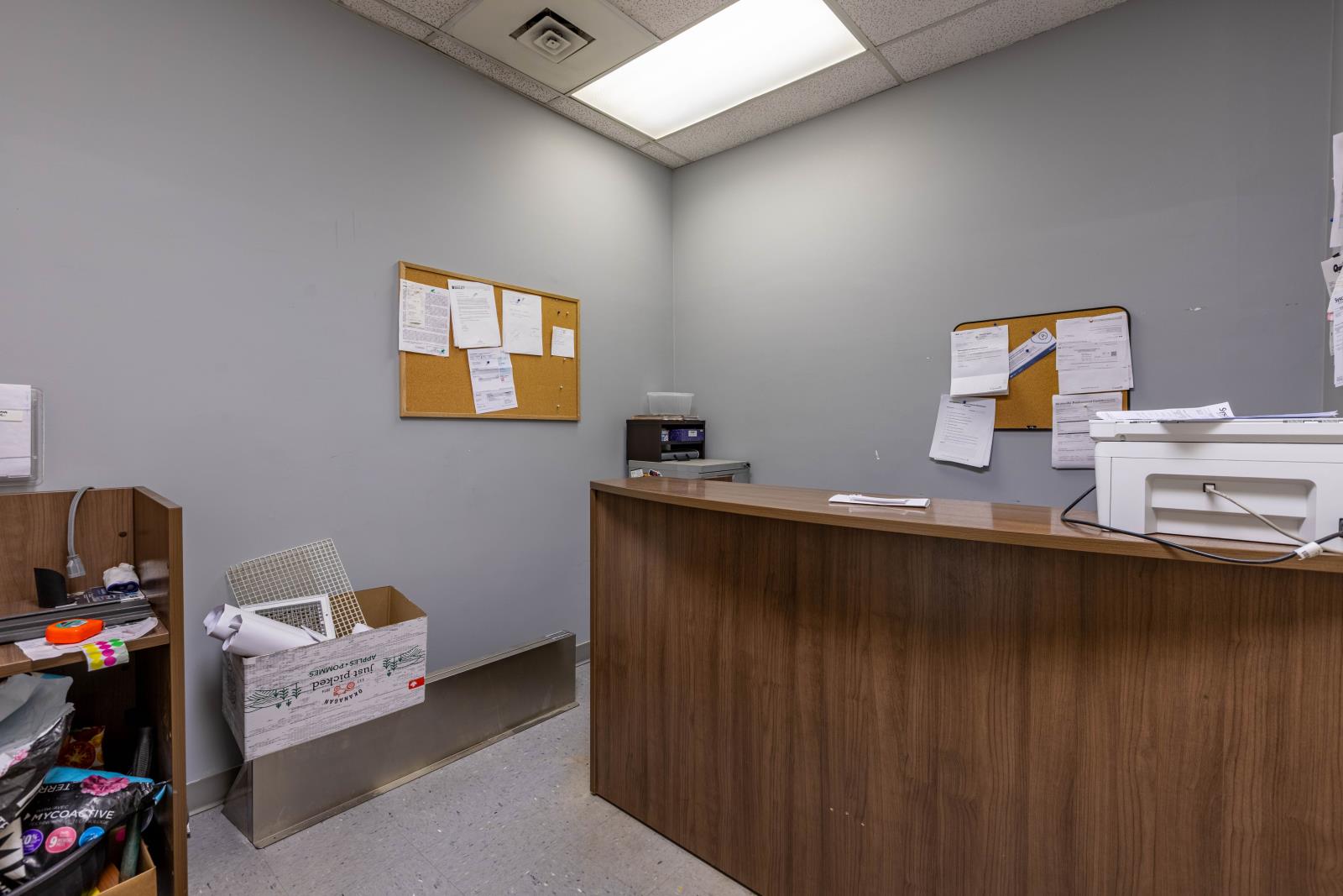 Lorem Ipsum, Morinville, Alberta  T8R  - Photo 27 - DEMO29514957