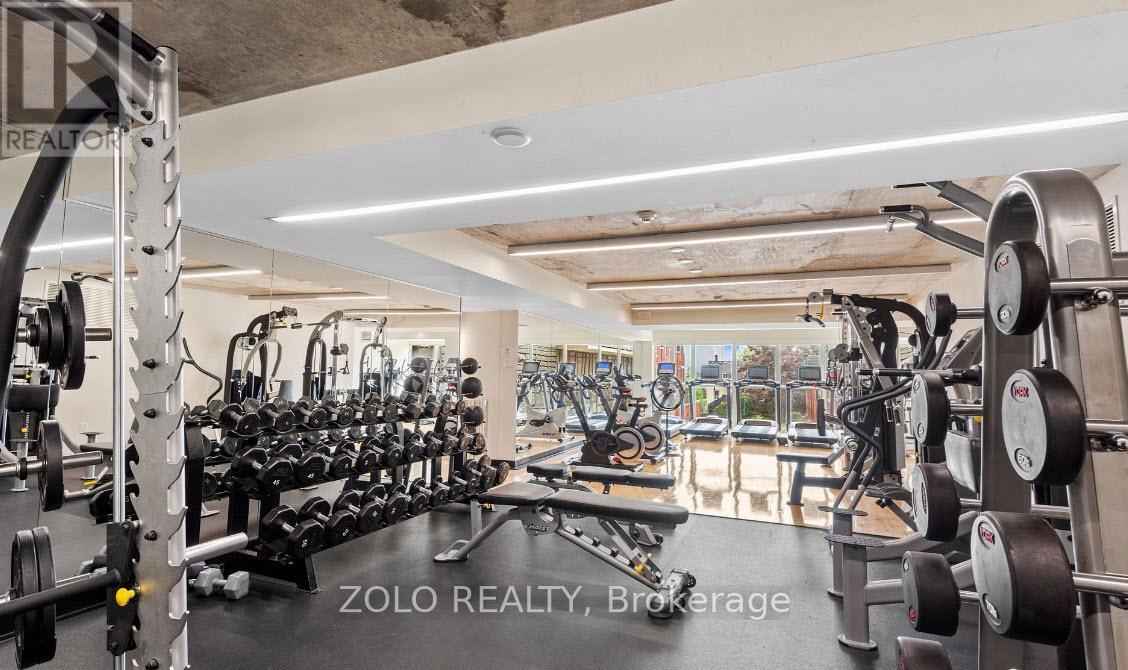 502 - 78 Tecumseth Street, Toronto, Ontario  M5V 0A9 - Photo 28 - C12926748