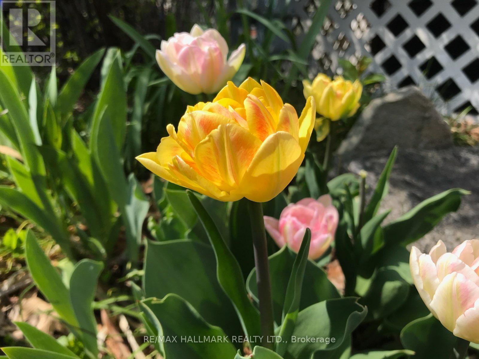 16 Dawson Avenue, Toronto, Ontario  M4J 1E5 - Photo 18 - E12926674