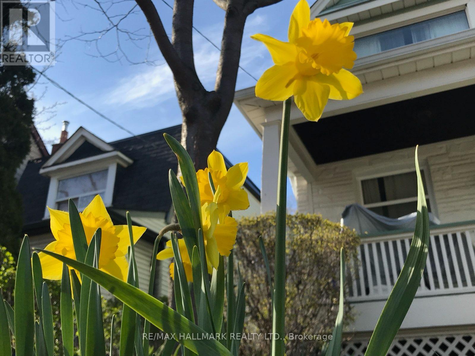 16 Dawson Avenue, Toronto, Ontario  M4J 1E5 - Photo 19 - E12926674