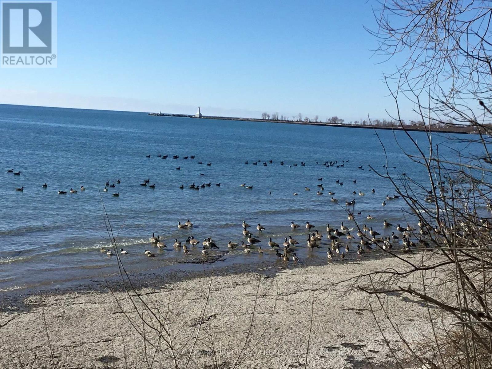 7 D'arcy Street, Cobourg, Ontario  K9A 3Z5 - Photo 31 - X12926698