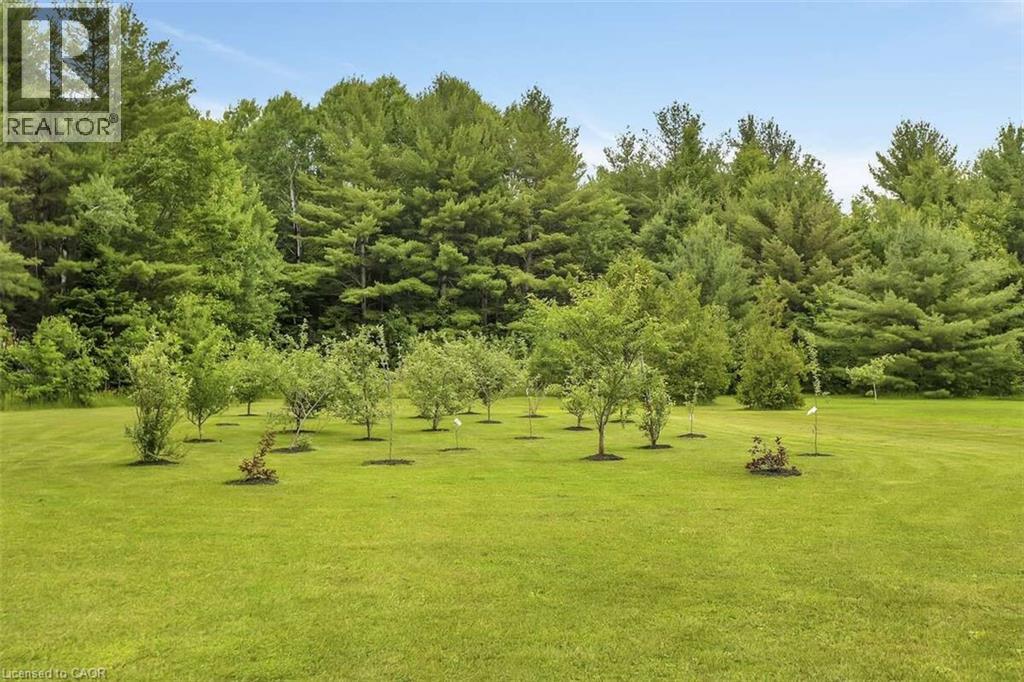 2882 B Line Road, Pembroke, Ontario  K8A 6W8 - Photo 32 - 40815561