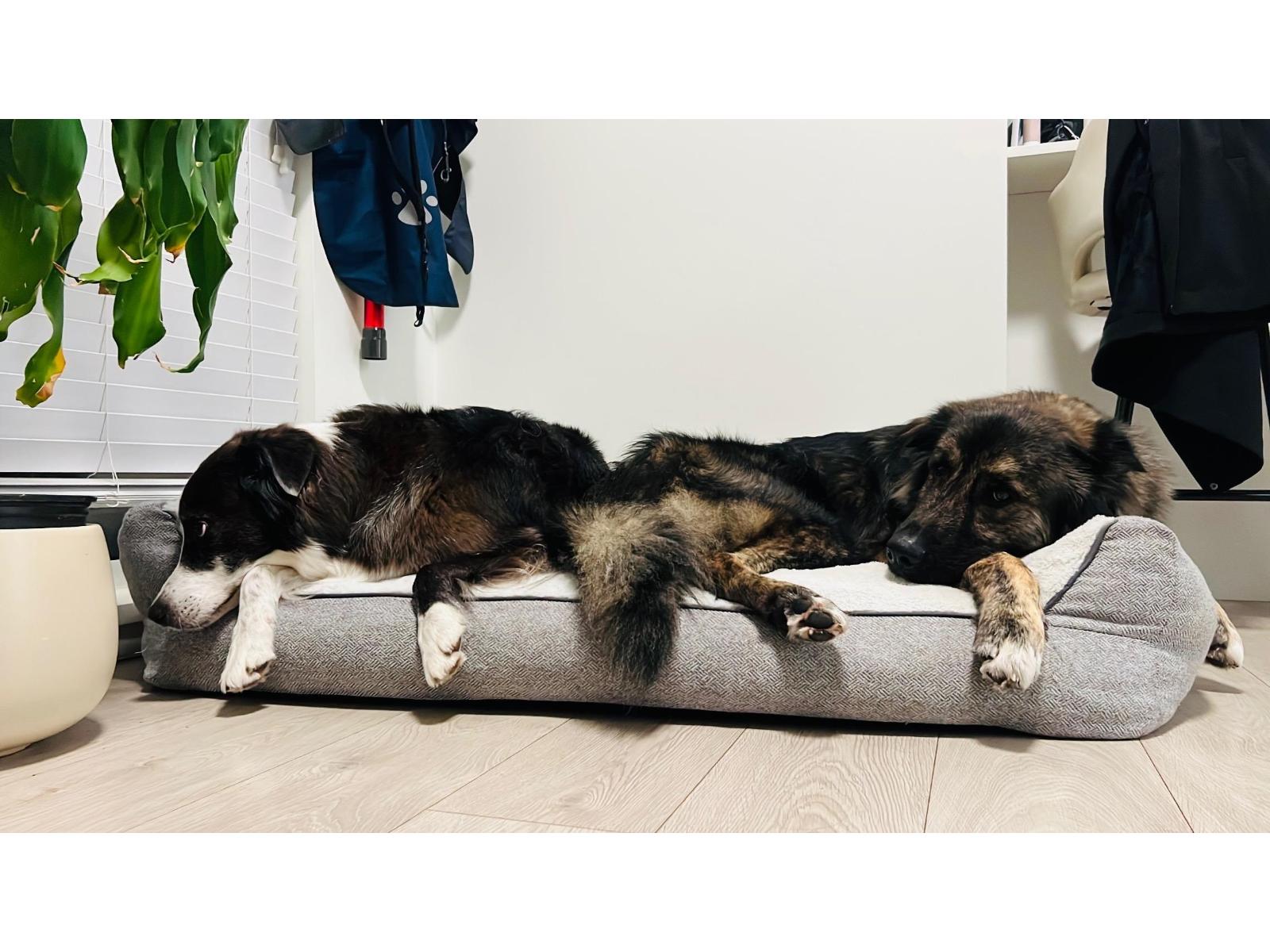 104 8327 201 Street, Langley, British Columbia  V2Y 3P5 - Photo 34 - R3103151