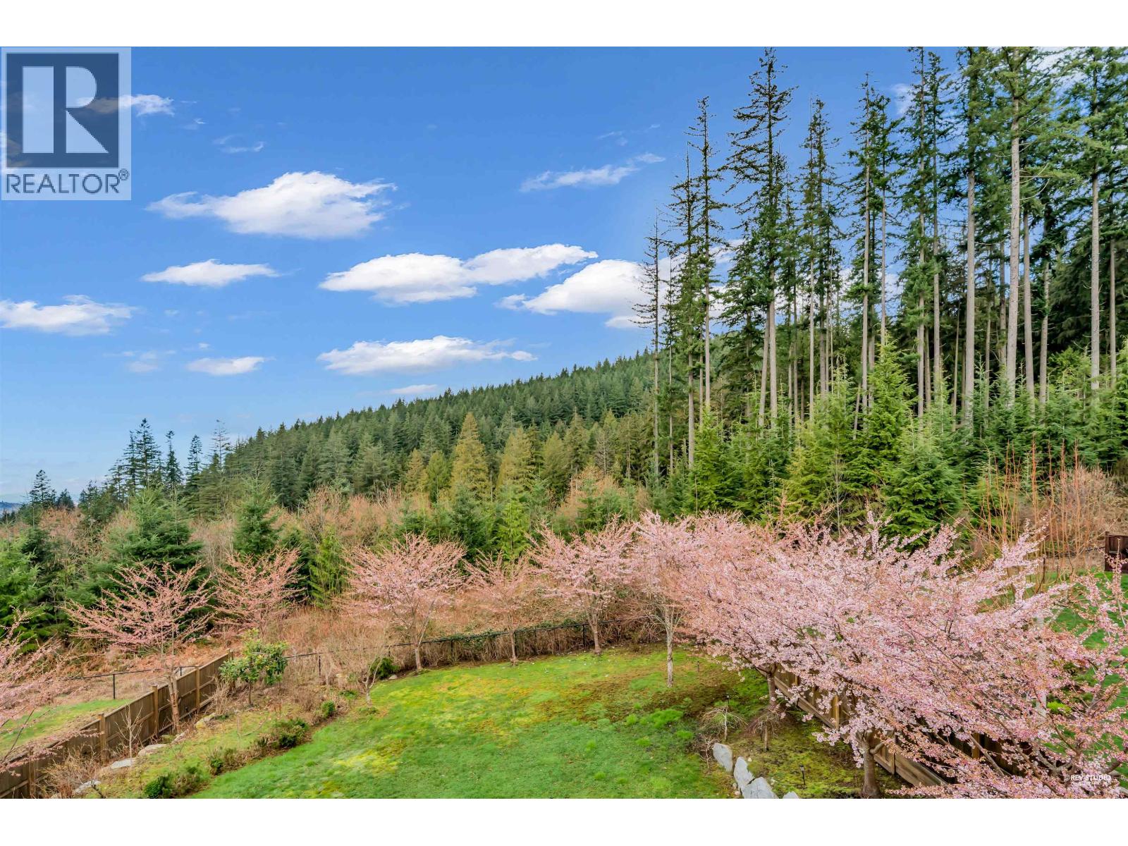 15 Heritage Peak Road, Port Moody, British Columbia  V3H 0H5 - Photo 20 - R3100377