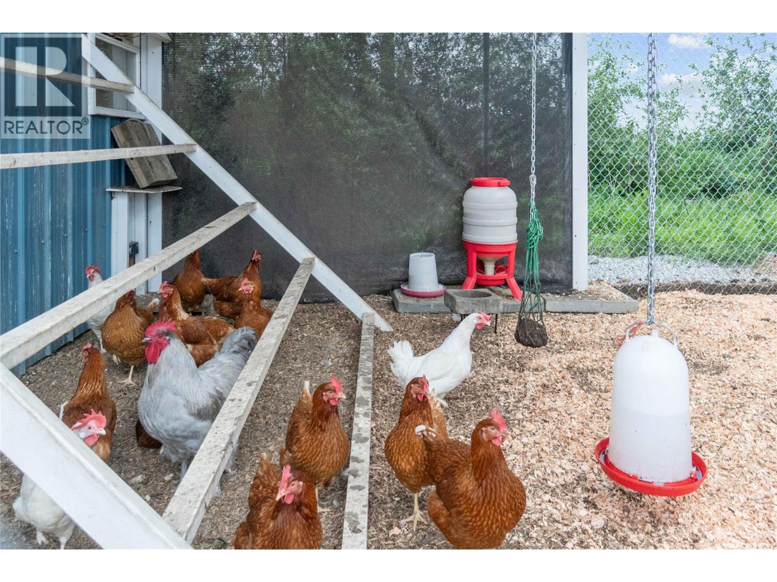 4911 Malpass Road, Armstrong, British Columbia  V4Y 0V5 - Photo 22 - 10380656