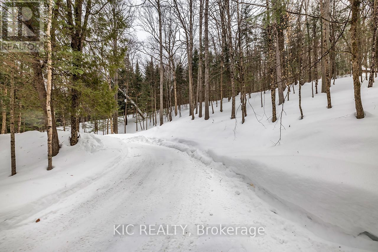 14202 Highway 118 Highway E, Dysart Et Al, Ontario  K0M 1S0 - Photo 31 - X12822620