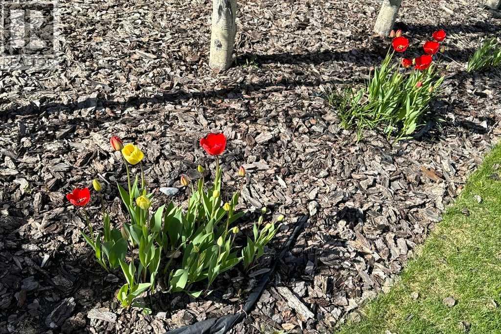 78 Cresthaven View SW, Calgary, Alberta  T3B 5Y1 - Photo 47 - A2296610