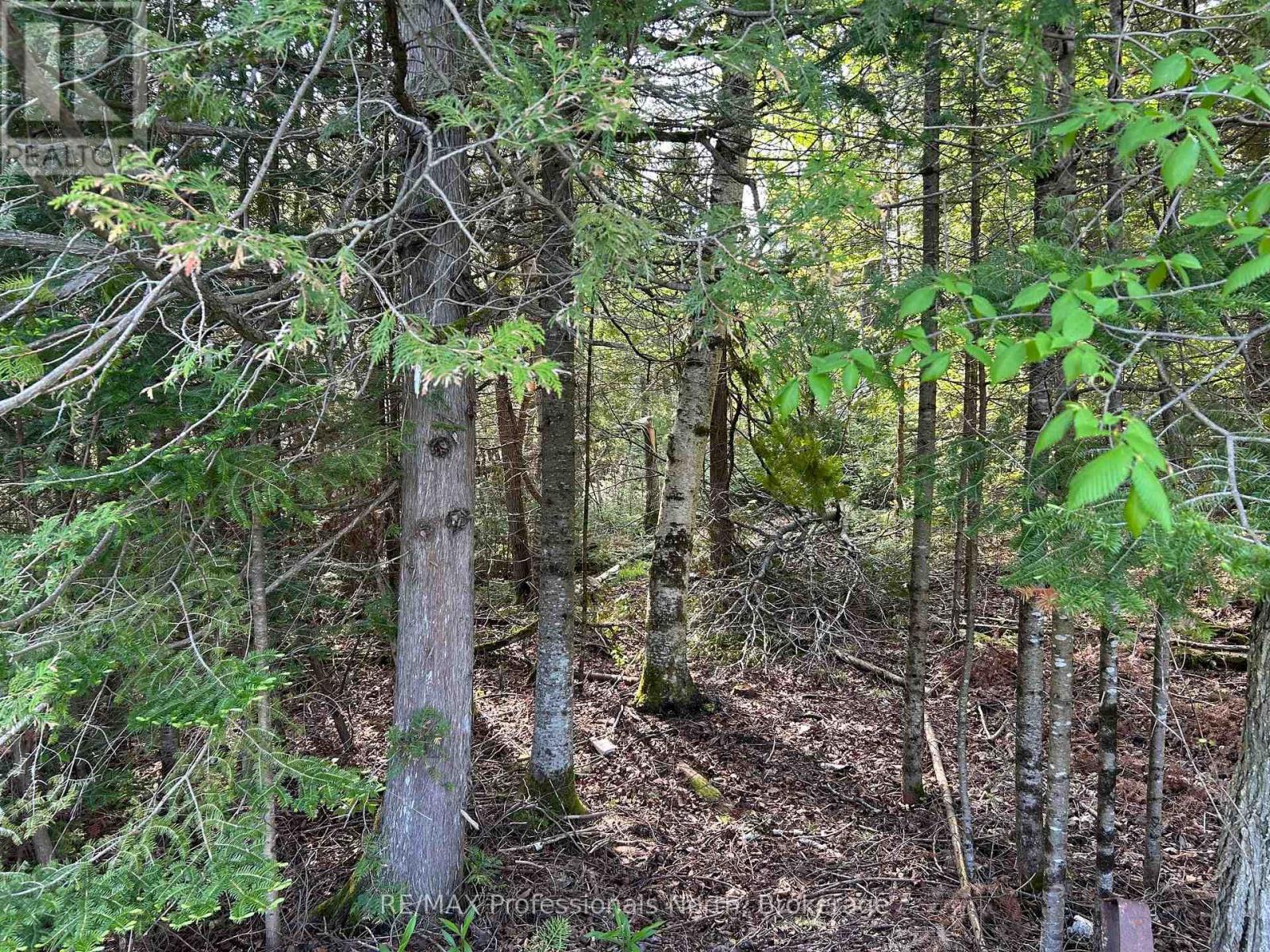 810 4th Line, Douro-Dummer, Ontario  K0L 3E0 - Photo 10 - X12440982