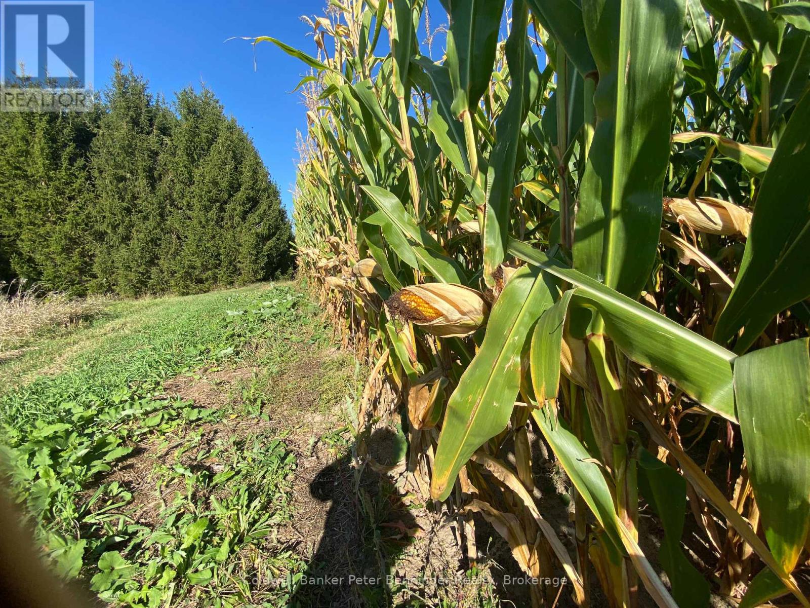 1315 Concession 8 Concession, Kincardine, Ontario  N0G 2T0 - Photo 2 - X12926936