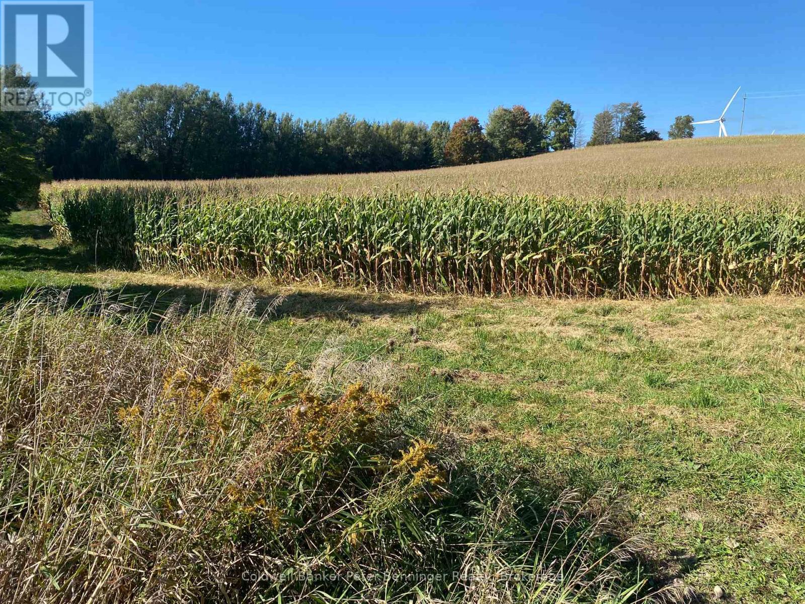 1315 Concession 8 Concession, Kincardine, Ontario  N0G 2T0 - Photo 4 - X12926936