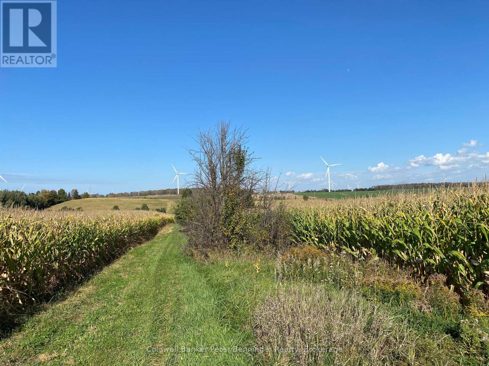 1315 Concession 8 Concession, Kincardine, Ontario  N0G 2T0 - Photo 7 - X12926936