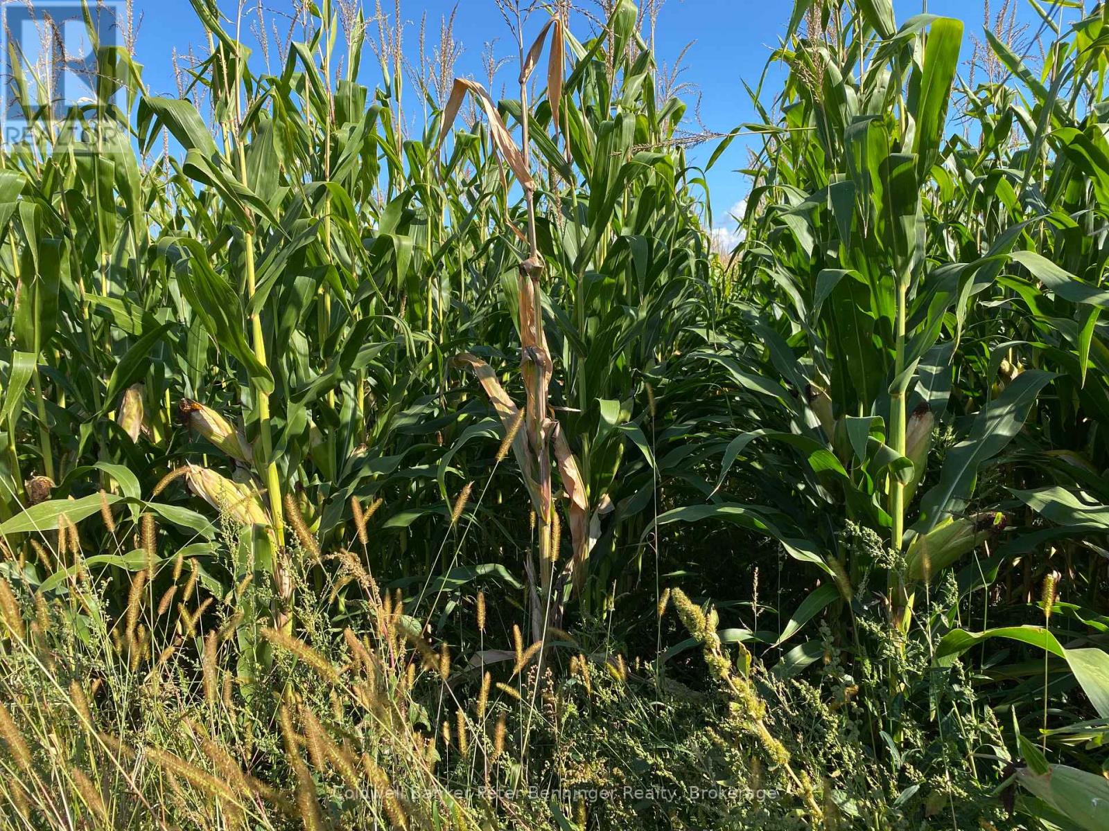 1315 Concession 8 Concession, Kincardine, Ontario  N0G 2T0 - Photo 9 - X12926936