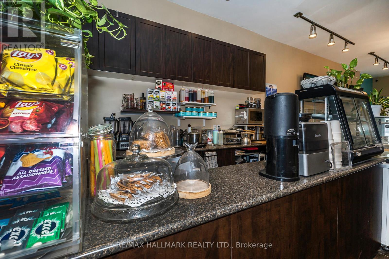 Main Floor - 956 St Clair Avenue W, Toronto, Ontario  M6E 1A1 - Photo 15 - C12926956