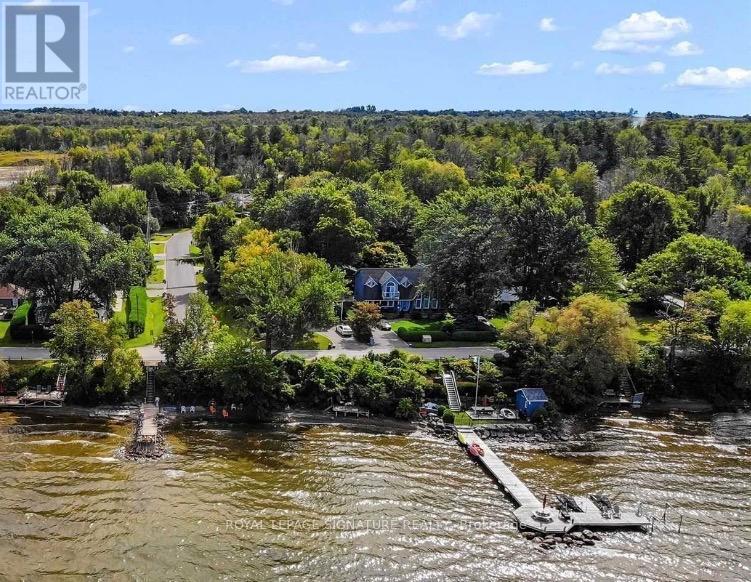 117 Maple Avenue, Georgina, Ontario  L0E 1R0 - Photo 22 - N12923160