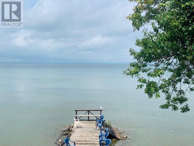 117 Maple Avenue, Georgina, Ontario  L0E 1R0 - Photo 23 - N12923160