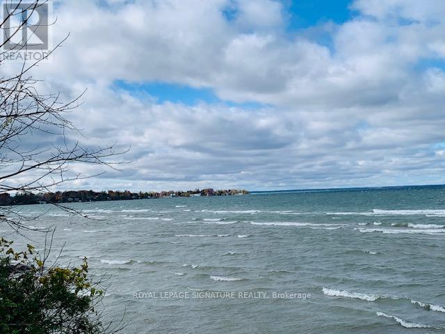 117 Maple Avenue, Georgina, Ontario  L0E 1R0 - Photo 24 - N12923160