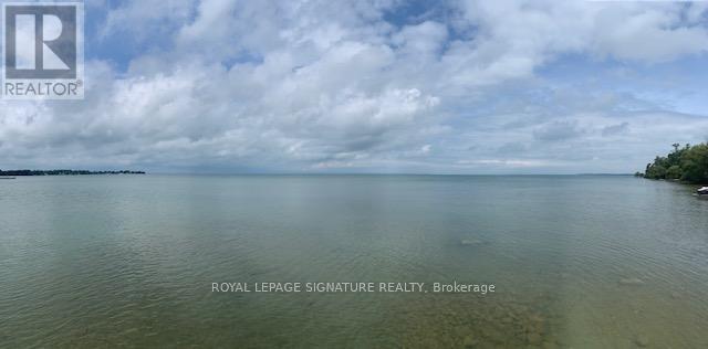 117 Maple Avenue, Georgina, Ontario  L0E 1R0 - Photo 25 - N12923160