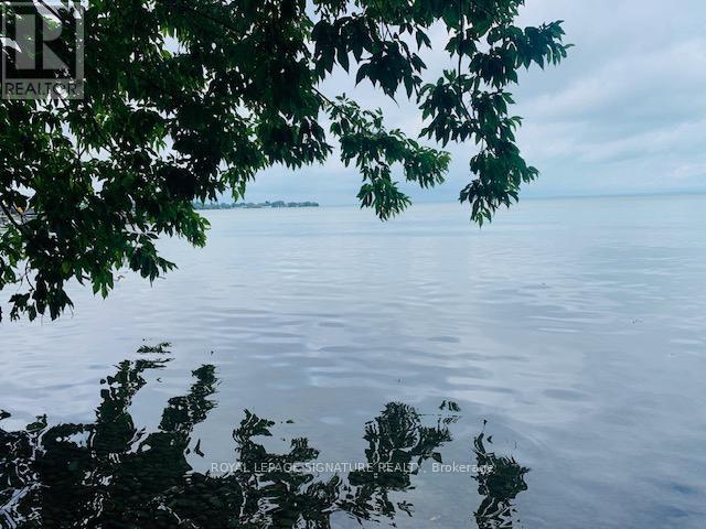 117 Maple Avenue, Georgina, Ontario  L0E 1R0 - Photo 27 - N12923160