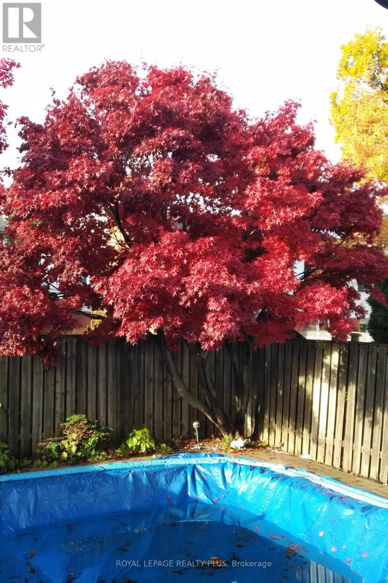 4170 Treetop Crescent, Mississauga, Ontario  L5L 2L9 - Photo 39 - W12927010