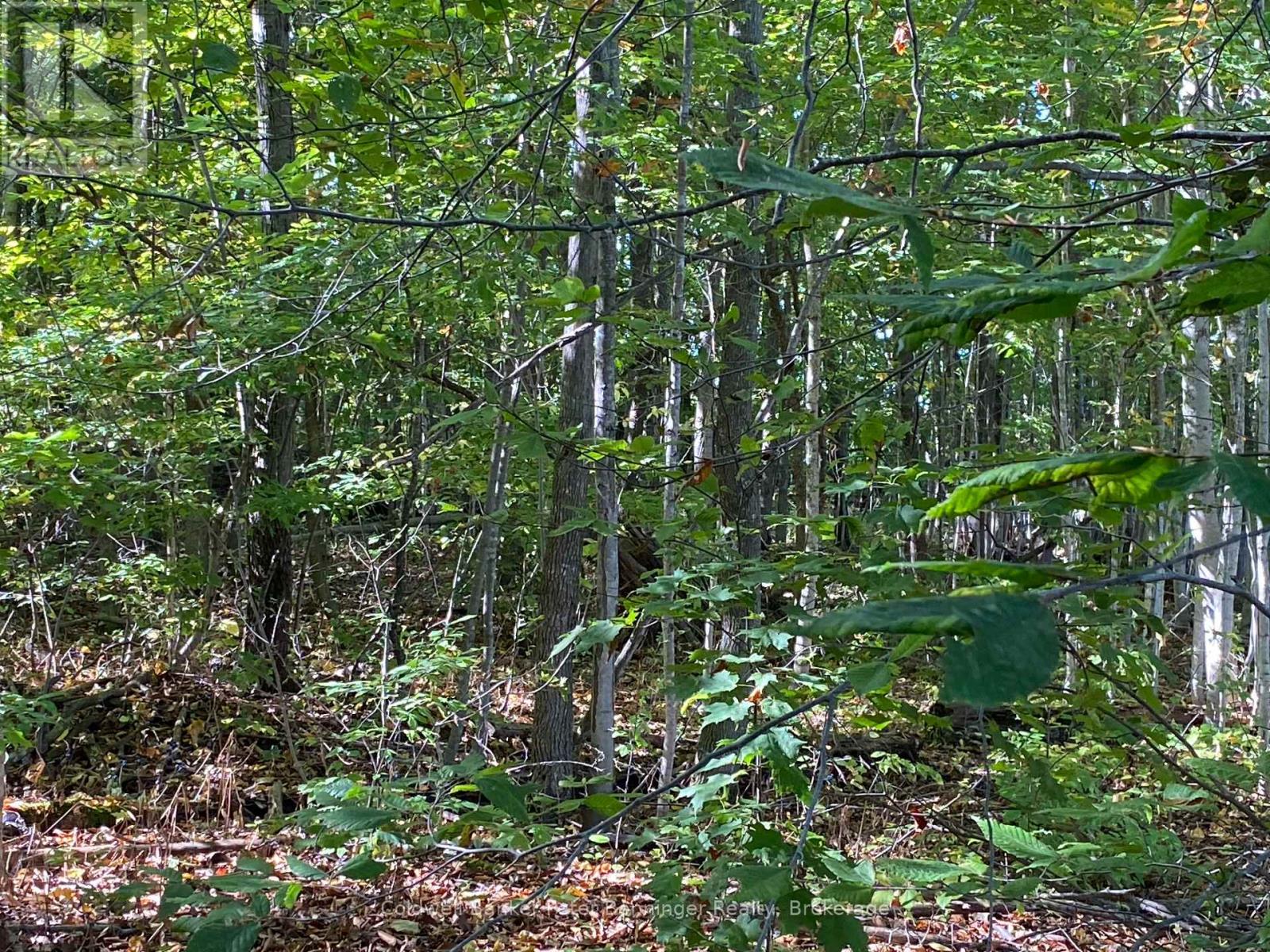 1315 Concession 8 Concession, Kincardine, Ontario  N0G 2T0 - Photo 31 - X12927062