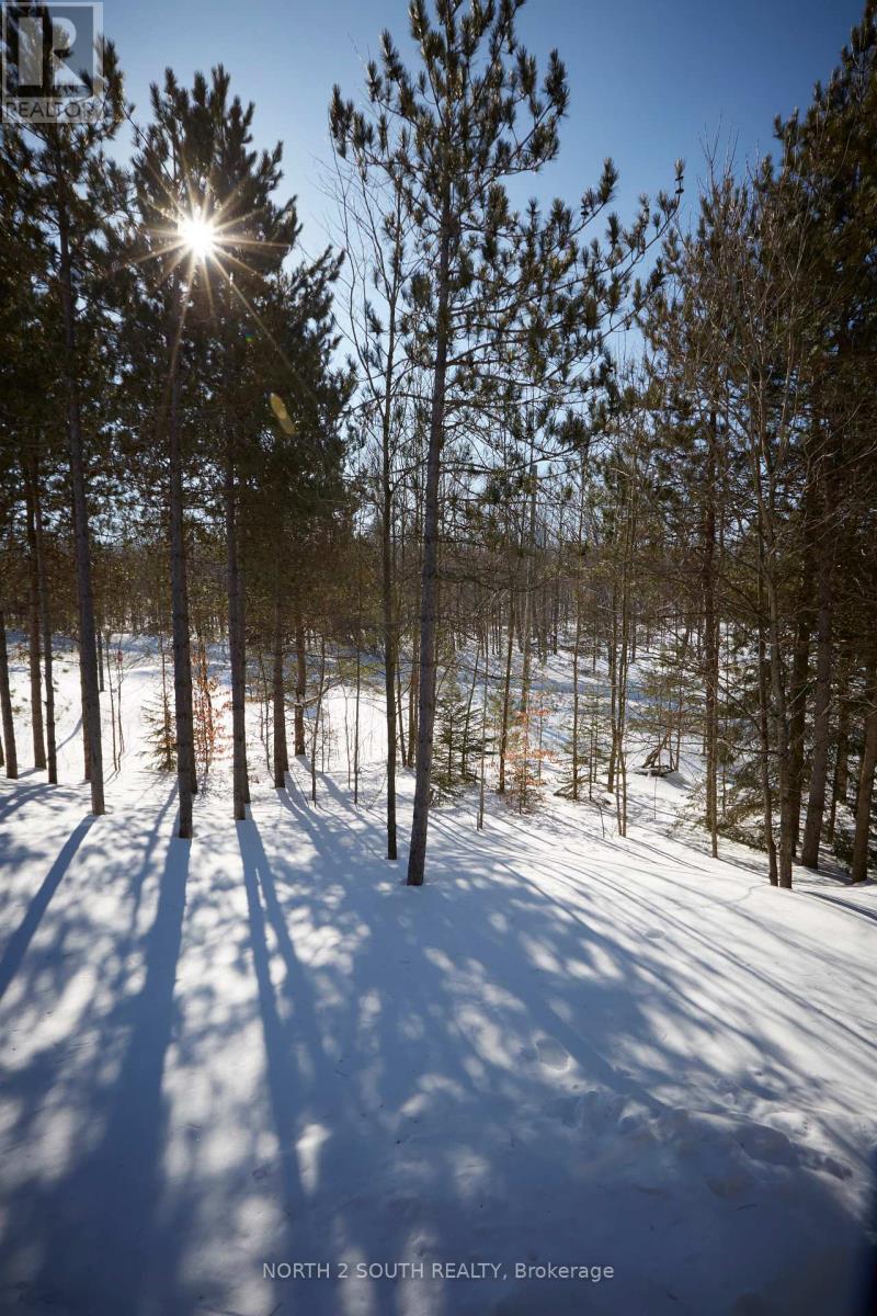 4 Boville Court, Oro-Medonte, Ontario  L0L 2L0 - Photo 23 - S12927128