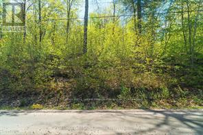 1835b Lorimer Lake Road N, Whitestone, Ontario  P2A 1G0 - Photo 14 - X12927146