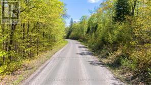 288 Rankin Lake Road, Seguin, Ontario  P2A 2W8 - Photo 21 - X12927154