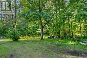 288 Rankin Lake Road, Seguin, Ontario  P2A 2W8 - Photo 16 - X12927154