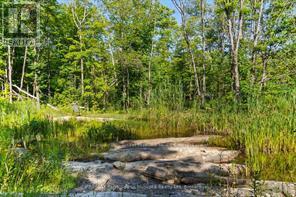 288 Rankin Lake Road, Seguin, Ontario  P2A 2W8 - Photo 22 - X12927154