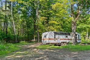 288 Rankin Lake Road, Seguin, Ontario  P2A 2W8 - Photo 23 - X12927154