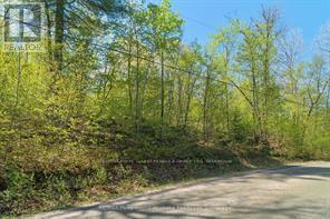 288 Rankin Lake Road, Seguin, Ontario  P2A 2W8 - Photo 35 - X12927154