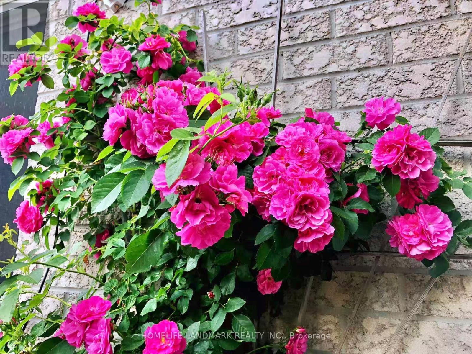 24 Todd Road, Ajax, Ontario  L1T 4C6 - Photo 34 - E12927250