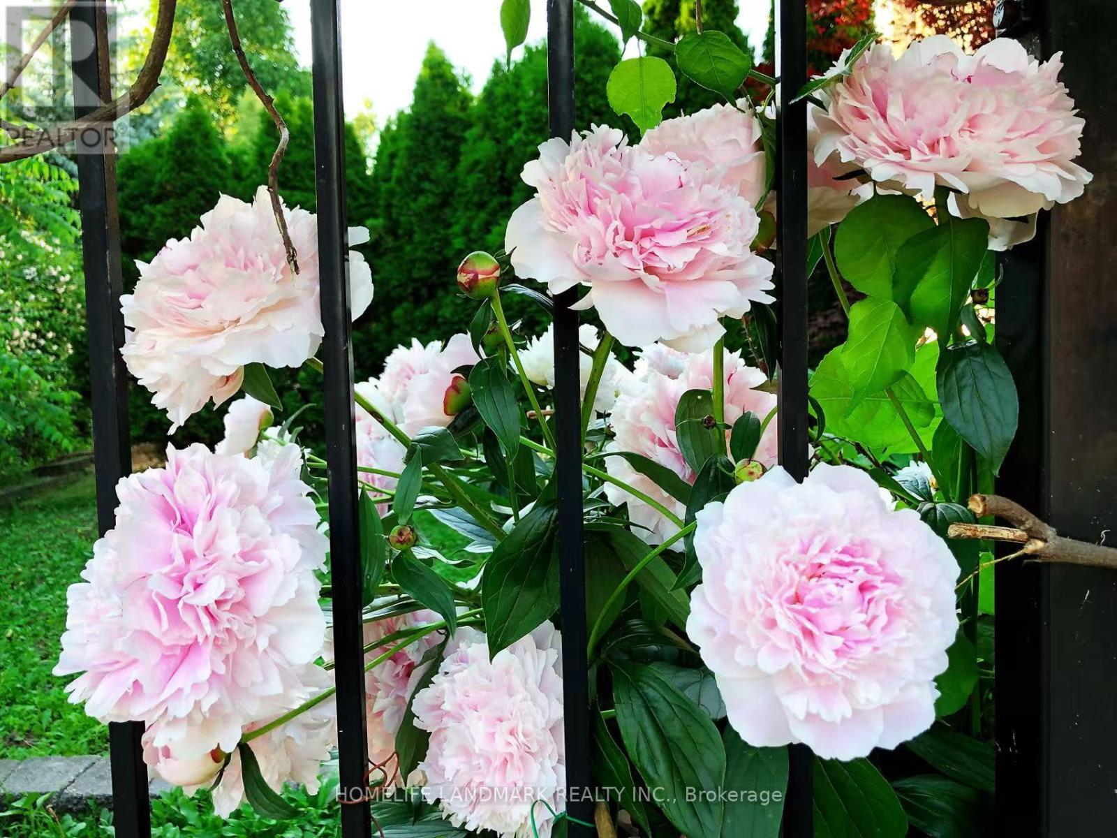 24 Todd Road, Ajax, Ontario  L1T 4C6 - Photo 36 - E12927250