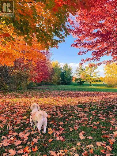 24 Todd Road, Ajax, Ontario  L1T 4C6 - Photo 40 - E12927250