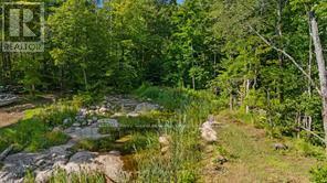 288 Rankin Lake Road, Seguin, Ontario  P2A 2W8 - Photo 19 - X12927154