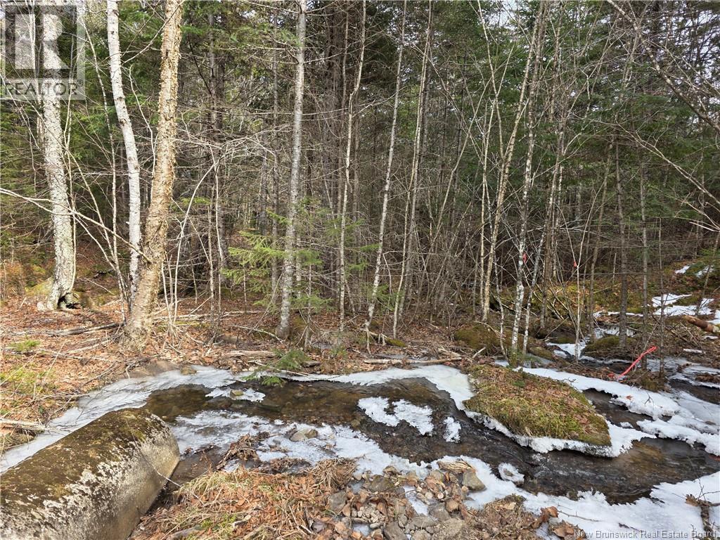 Lot Bayview Boulevard, Chamcook, New Brunswick  E5B 0G7 - Photo 2 - NB135829
