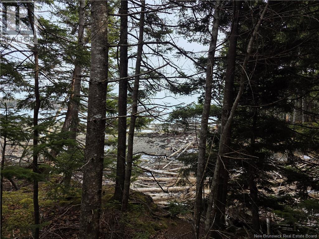 Lot Bayview Boulevard, Chamcook, New Brunswick  E5B 0G7 - Photo 5 - NB135829