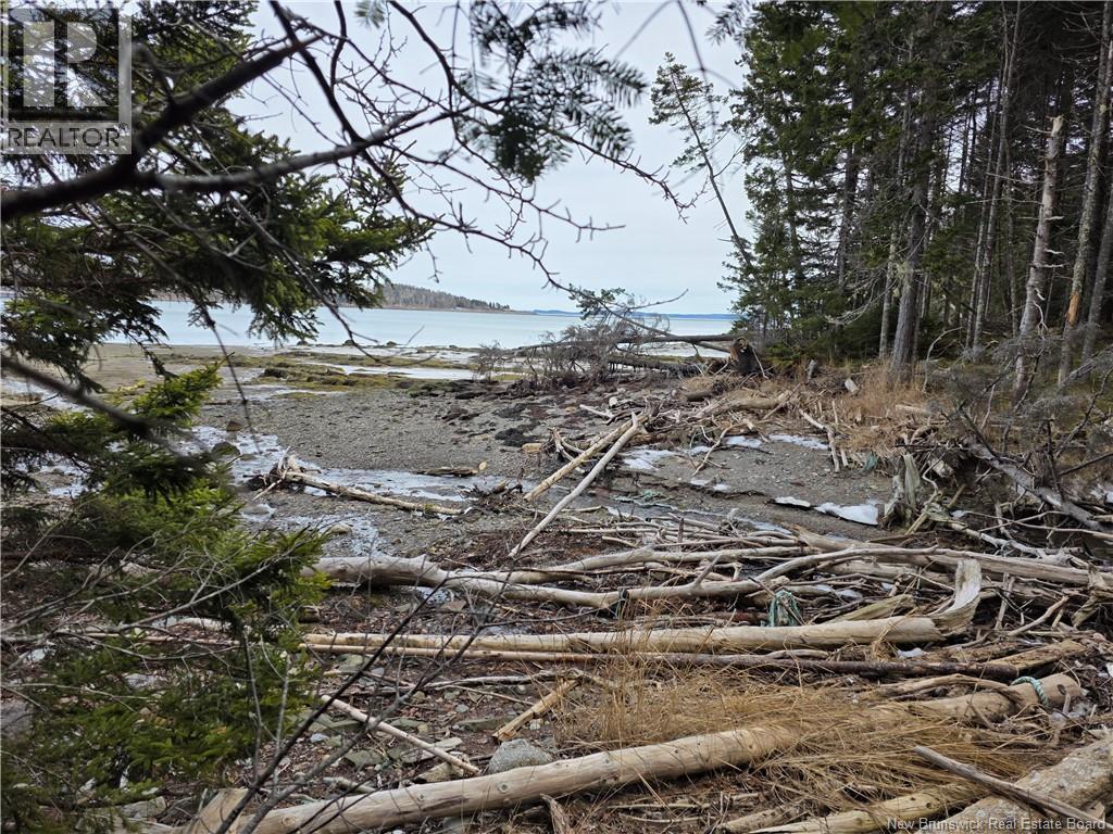 Lot Bayview Boulevard, Chamcook, New Brunswick  E5B 0G7 - Photo 6 - NB135829