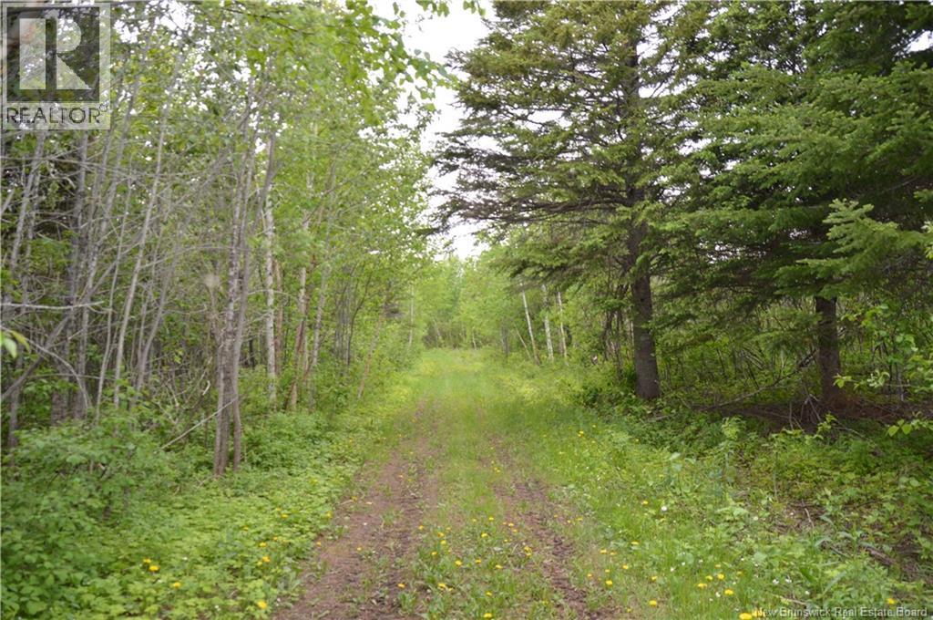 3153 Route 315, Tremblay, New Brunswick  E8J 3C8 - Photo 14 - NB135896