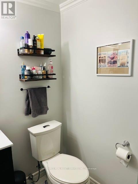 Basement - 5335 Flatford Road, Mississauga, Ontario  L5V 1P3 - Photo 13 - W12817838