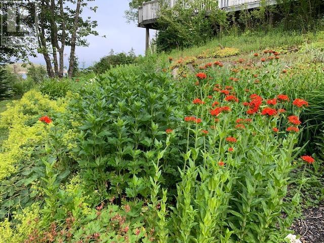 Lorem Ipsum Dolor Sit, Northwest Cove, Nova Scotia  B0J  - Photo 41 - DEMO29520226