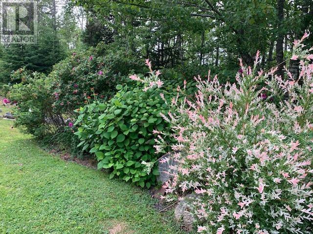 Lorem Ipsum Dolor Sit, Northwest Cove, Nova Scotia  B0J  - Photo 42 - DEMO29520226