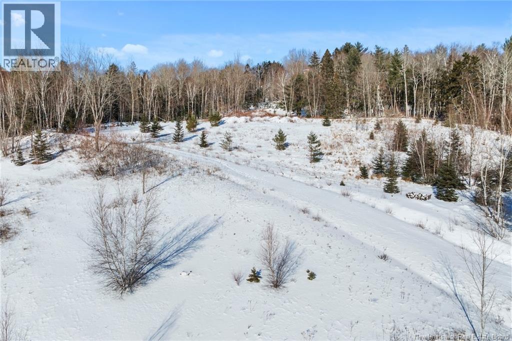 Na Grand Pass Court, Douglas, New Brunswick  O0O 0O0 - Photo 5 - NB132741