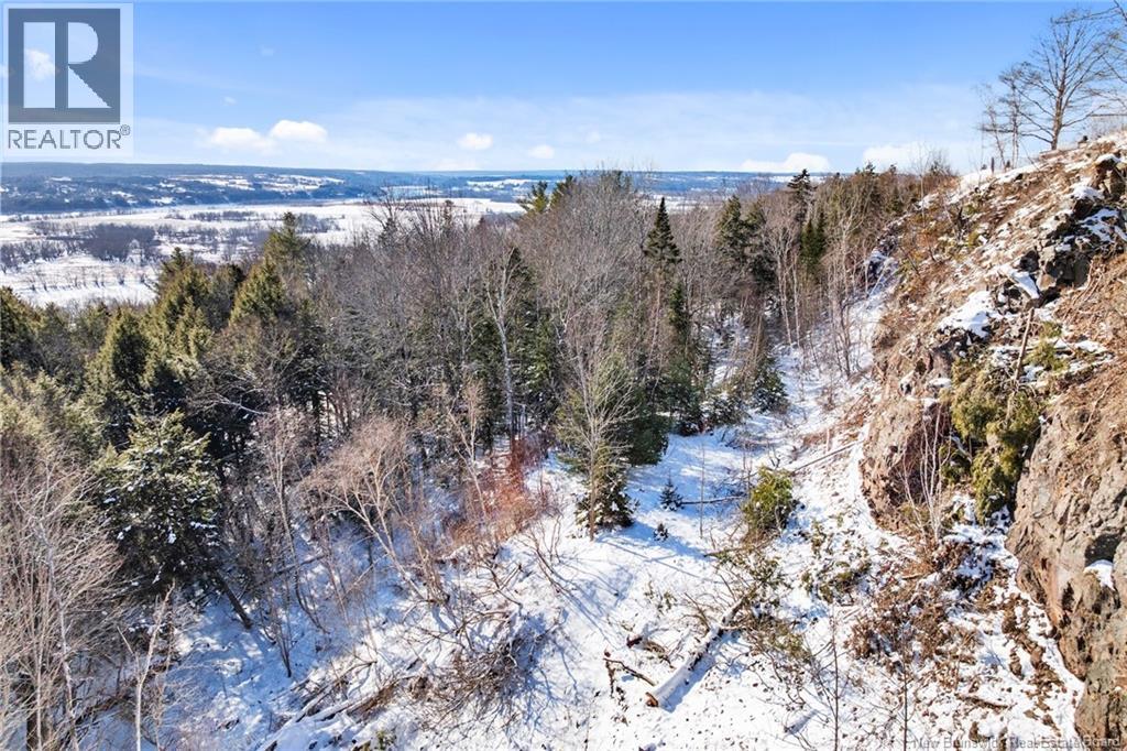 Na Grand Pass Court, Douglas, New Brunswick  O0O 0O0 - Photo 7 - NB132741