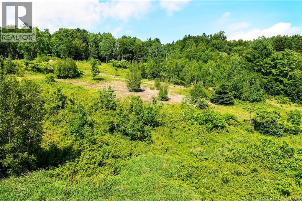 Na Grand Pass Court, Douglas, New Brunswick  O0O 0O0 - Photo 14 - NB132741